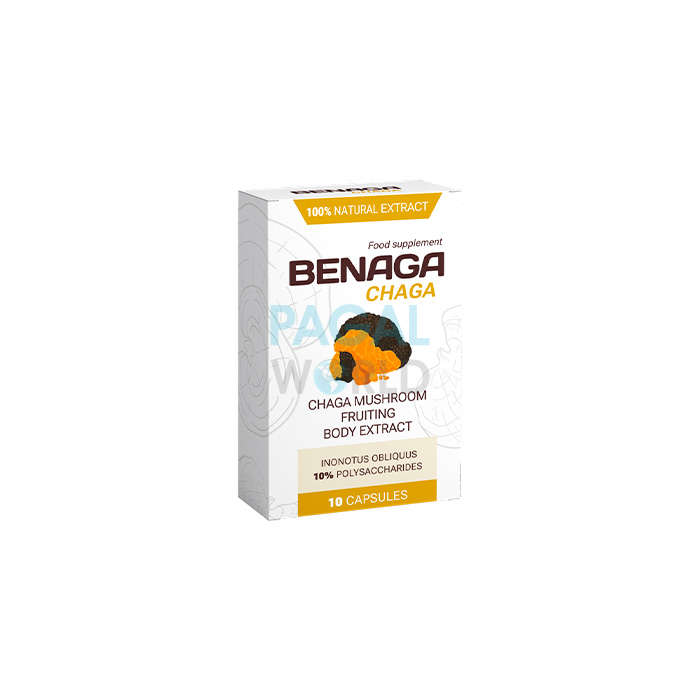 Benaga Chaga